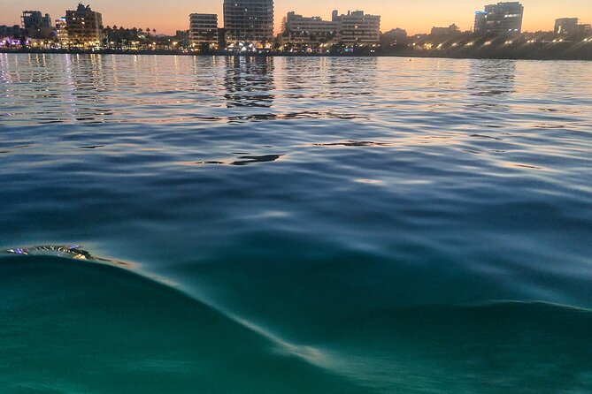 Larnaca Sunset Cruise with Unlimited Beers & Wine - Who should book this evening on the water?