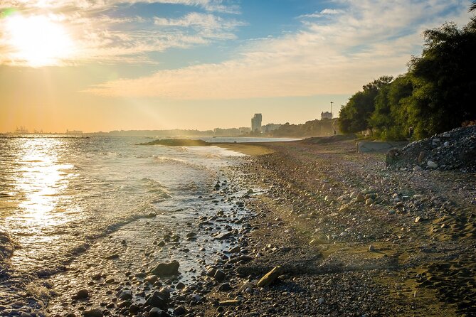 Limassol Private Walking Tour with a Local - The marina, promenade, and modern Limassol