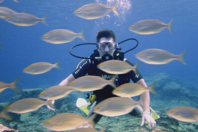 Local Guided Dives (for certified/licensed divers)