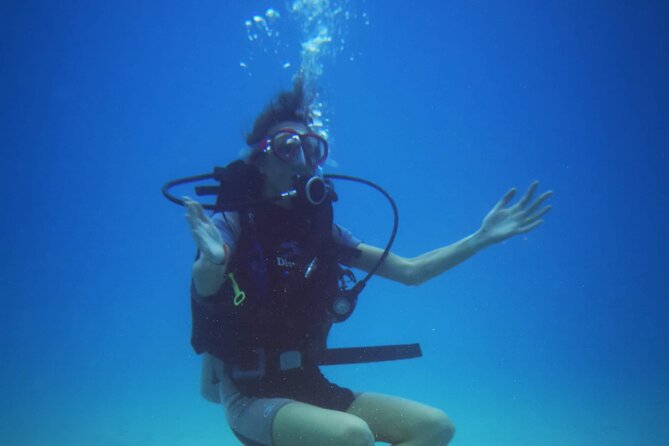 Local Guided Dives (for certified/licensed divers) - What happens after you return