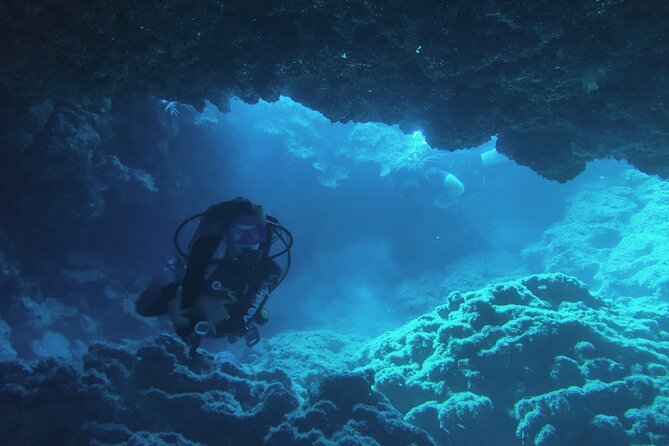 Local Guided Dives (for certified/licensed divers) - Safety, communication, and personal attention
