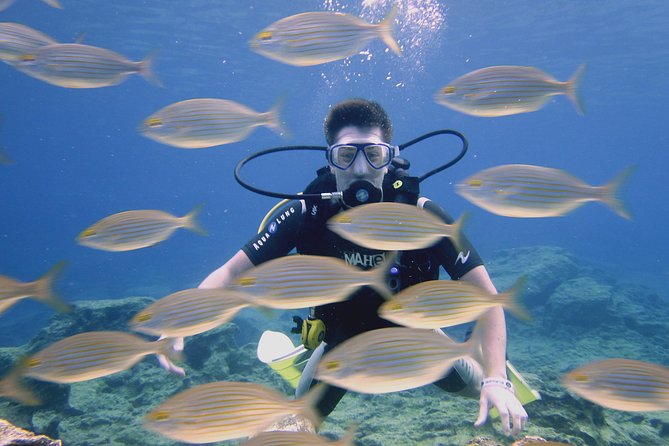 Local Guided Dives (for certified/licensed divers) - Choosing between one or two guided sessions