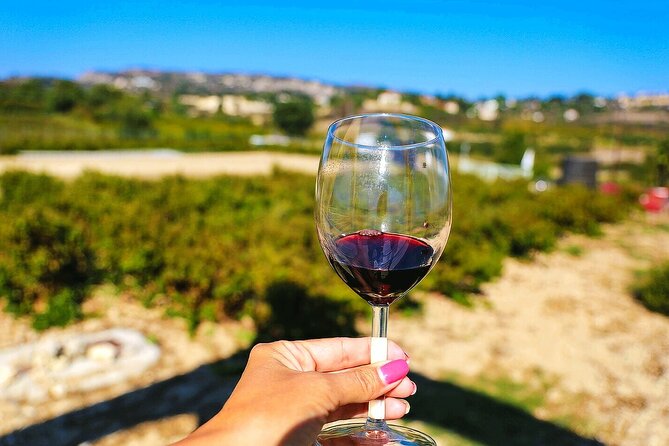 Local Wineries Tour with Wine Testing from Paphos - Key points to know before booking