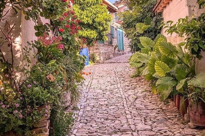 Meet the locals of Troodos mountains - Key points before you book