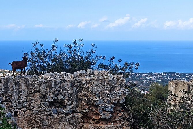 Nature Walking tour in the Mediterranean Cyprus-6days - What makes this Cyprus walking week different