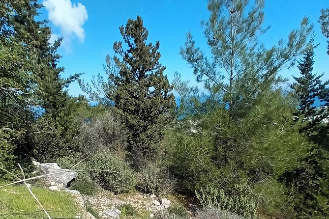 Nature Walking tour in the Mediterranean Cyprus-6days - Day 3: Ilgaz and a quieter side of the west