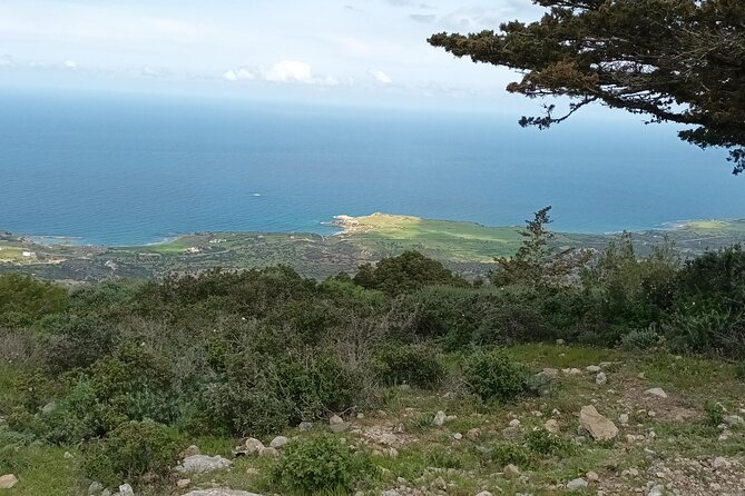 Nature Walking tour in the Mediterranean Cyprus-6days - Day 4: Bellapais Abbey, village lanes, and the coast below