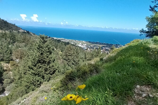 Nature Walking tour in the Mediterranean Cyprus-6days - Day 2: Karsiyaka ridge and the view toward Sinai Monastery
