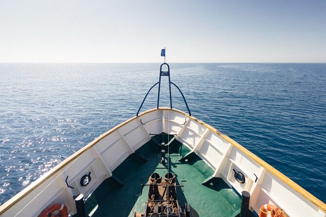 Odyssey Boat Safari from Larnaca - What $96.33 buys you