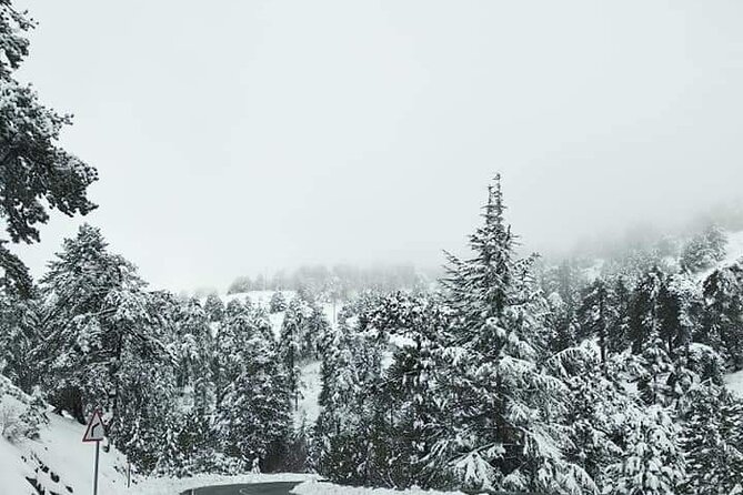 Omodos and Winiary tour, let's feel winter in Cyprus Mountain. - Leaving Limassol for the Troodos Mountains