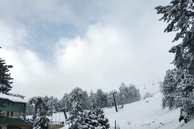 Omodos and Winiary tour, let's feel winter in Cyprus Mountain. - One hour for meze, sweets, and shopping