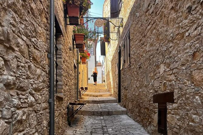 Omodos and Winiary tour, let's feel winter in Cyprus Mountain. - Winiary and the taste of Cyprus wine