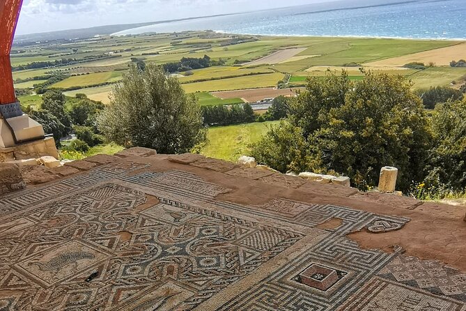 Pafos - Archaeology & Beauty tour from Limassol - Aphrodite’s Rock and a coffee break