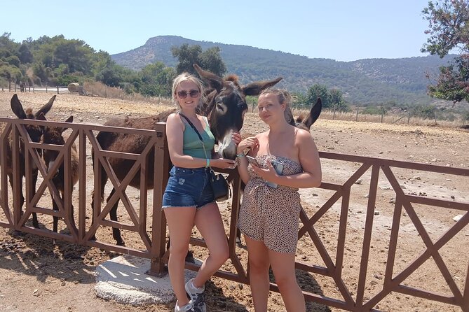 Paphos: Akamas Gorge & Turtle Bay & Donkey Farm Jeep Safari Tour - Key points before you book