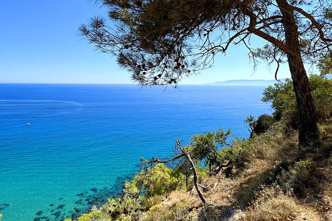 Paphos: Akamas Gorge & Turtle Bay & Donkey Farm Jeep Safari Tour - Avakas Gorge: the day’s main physical test