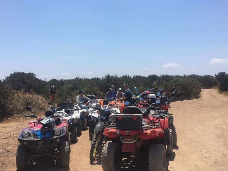 Paphos: Buggy Tour Akamas incl and Adonis Falls - Lara Bay gives you time to slow down
