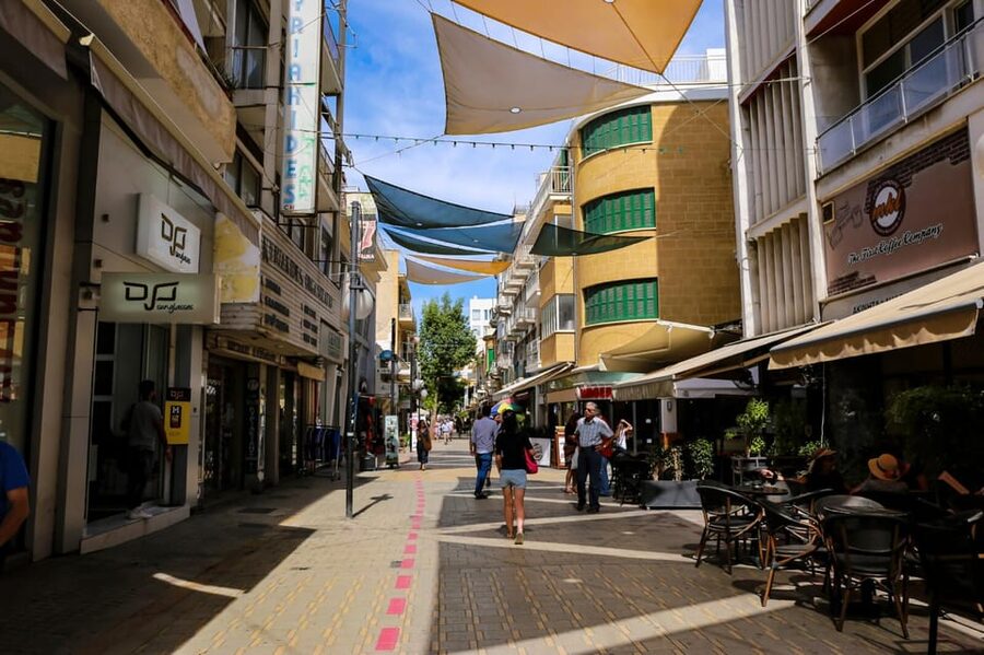Paphos: Larnaca & Divided Nicosia Sightseeing Tour - Key points before you book