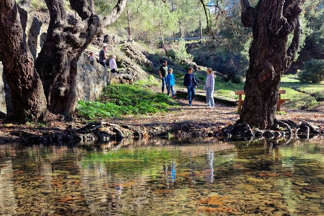 Paphos - Troodos Mountains: To the highest peaks. - Key points at a glance