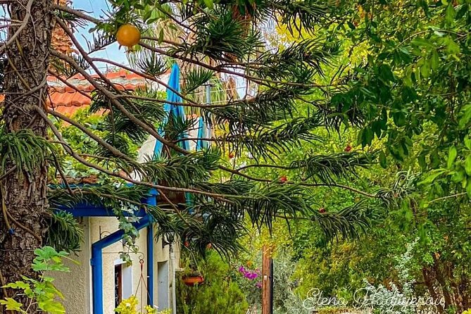 Perfect Day Trip to Beautiful Lefkara tour from Limassol. - Who will enjoy this half-day outing