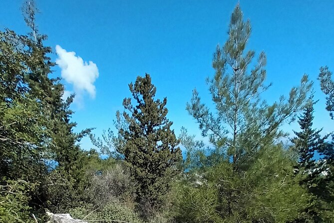 Private Day Walk in the Nature Near Kyrenia, Cyprus - Why this walk works so well near Kyrenia
