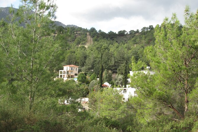 Private Day Walk in the Nature Near Kyrenia, Cyprus - Inside Bellapais Abbey, where the past feels close