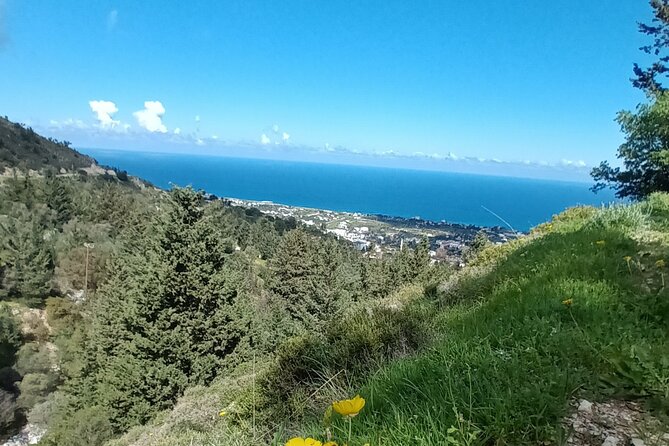 Private Day Walk in the Nature Near Kyrenia, Cyprus - Bellapais village and the Tree of Idleness