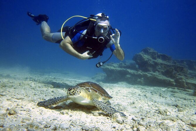 Private Discovery Dive + Photos & Videos - Key points at a glance