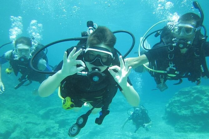 Private Discovery Dive + Photos & Videos - Photos and videos without the camera fuss