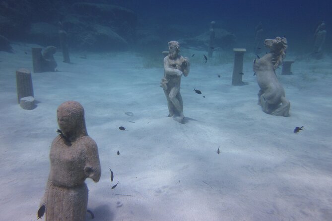 Private Discovery Dive + Photos & Videos - Is $102.79 good value?