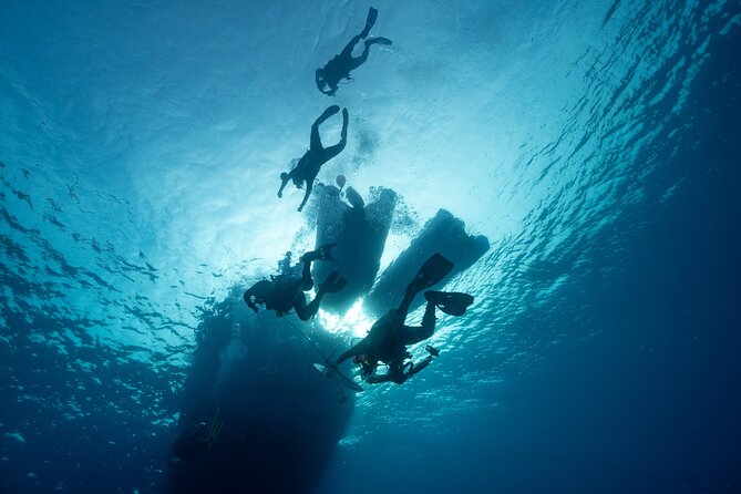 Private Discovery Scuba Diving with Sea Turtles - Pickup and meeting point in Protaras