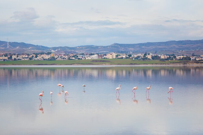 Private Full-Day Tour in Larnaca with Hotel Pick Up - Zygi Marina and the mountain backdrop