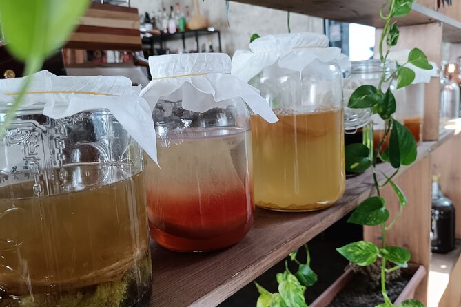 Private Kombucha Making Workshop in Cyprus - Why the booklet matters after you leave
