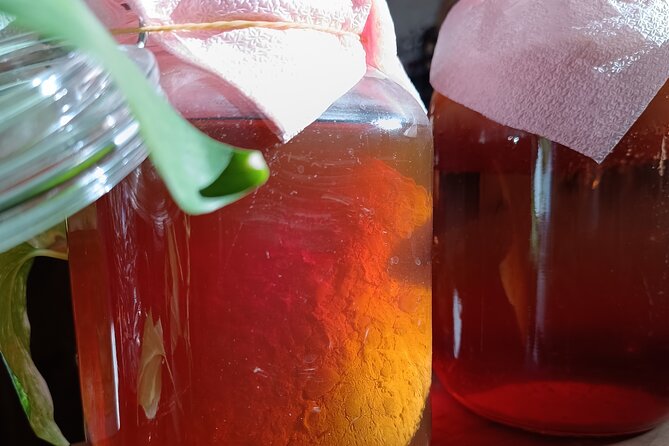 Private Kombucha Making Workshop in Cyprus - How the price compares with the format