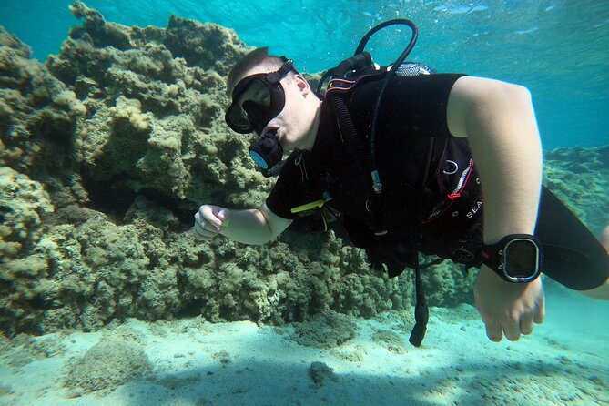 Private Scuba Diving Experience in Cyprus - Protaras sites, Cape Greco, and underwater scenery