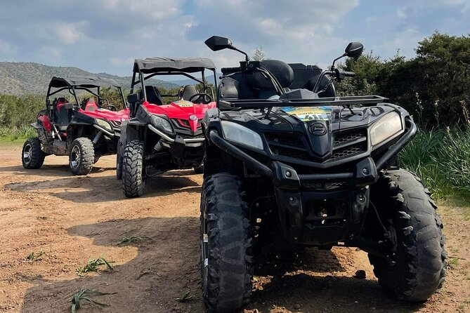 Quad or Buggy Tour from Coral Bay to Lara Bay - Edro III Shipwreck: A Ten-Minute Coastal Stop