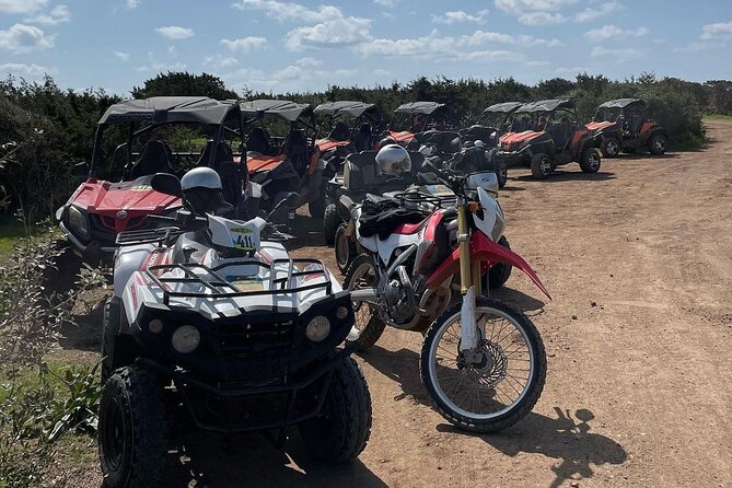 Quad or Buggy Tour from Coral Bay to Lara Bay - Agios Georgios Pegeias and Its Byzantine Remains