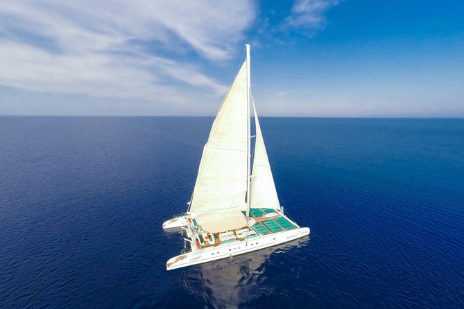 Relaxing Adults-only Blue Lagoon Catamaran Trip from Ayia Napa - What the onboard mood is really like