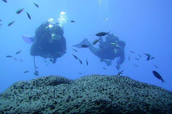 Scuba Diver Course - Day one: paperwork and confined-water practice