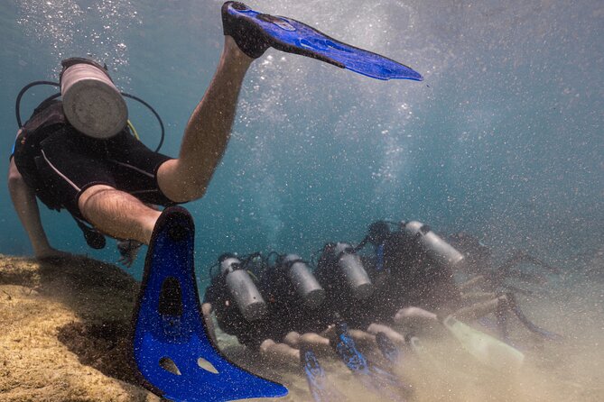 Scuba Diving at Turtle Bay with Underwater Pictures Included - Key things to know before booking
