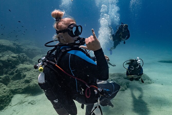 Scuba Diving at Turtle Bay with Underwater Pictures Included - What the $87.27 price really covers