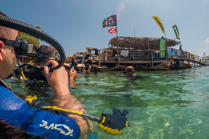 Scuba Diving at Turtle Bay with Underwater Pictures Included - Timing, transport, and practical planning