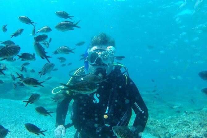 Scuba Diving Cyprus Experience Protaras and Ayia Napa & Turtles - Why This Protaras Scuba Session Works For Beginners