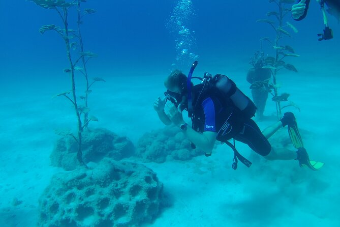 Scuba Diving Cyprus Experience Protaras and Ayia Napa & Turtles - How The Instructors Shape The Experience