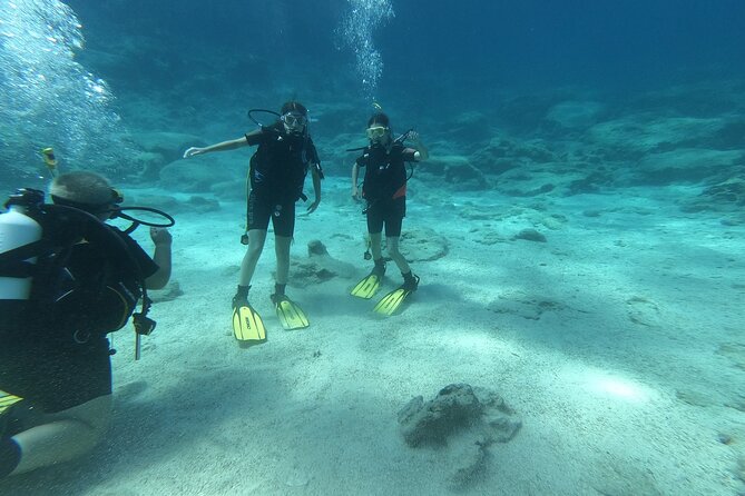 Scuba Diving Cyprus Experience Protaras and Ayia Napa & Turtles - Starting At Yellow Fins Scuba Centre