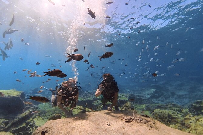 Scuba Diving Experience (10+ Years) AND Free Edited Video - Green Bay gives beginners room to settle in