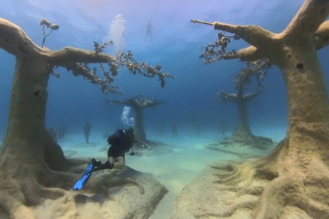 Scuba Diving Experience & MUSAN Dive + Free Edited Video 2xdives - Why this Protaras experience works for beginners