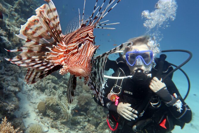 Scuba Diving Experience & MUSAN Dive + Free Edited Video 2xdives - The free video is a useful bonus, not the main product