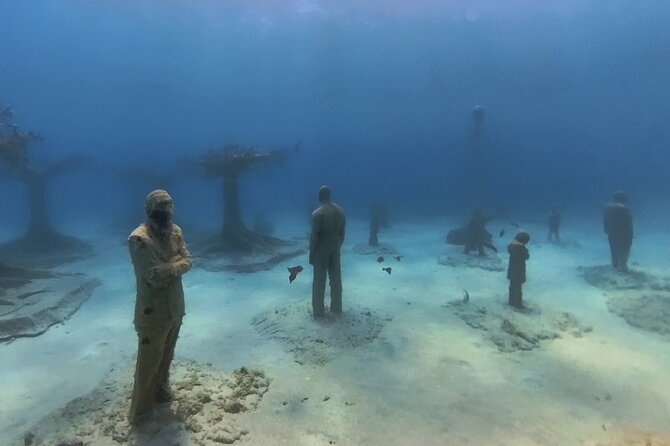 Scuba Diving Experience & MUSAN Dive + Free Edited Video 2xdives - Who should book this outing?