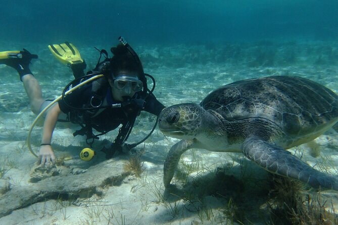 SCUBA DIVING first time experience - Key points to know before booking