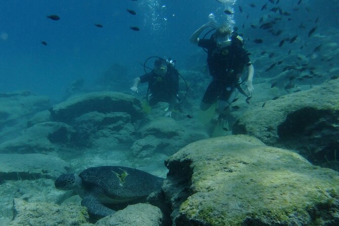 SCUBA DIVING first time experience - The shallow-water practice is the most important part